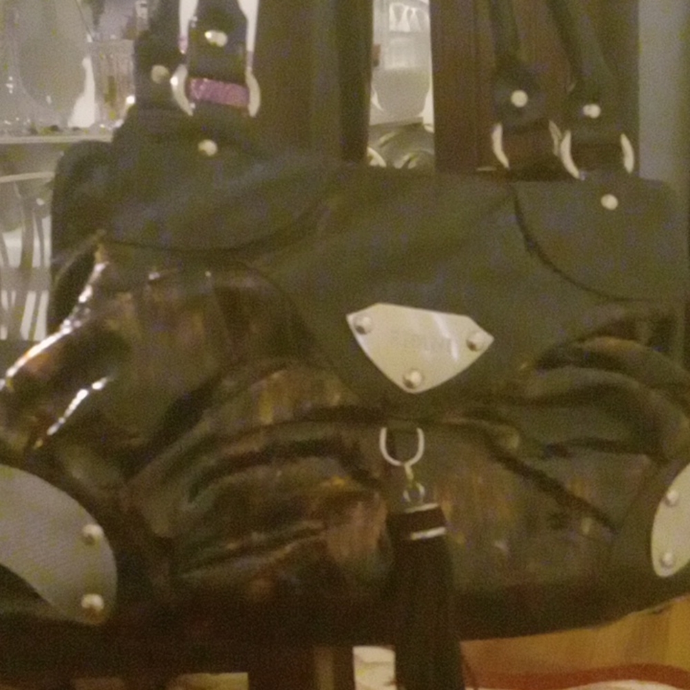 Ripani leather bag